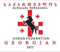 GCF Logo Axali montazh 11